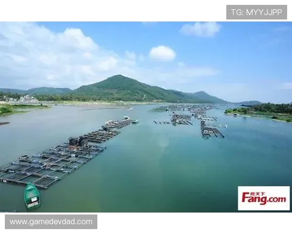 半岛注册政策调整引发企业注册热潮促进区域创新发展