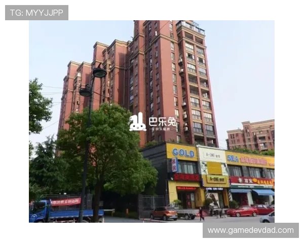 如何避免半岛全网站登录过程中遇到的常见陷阱和风险